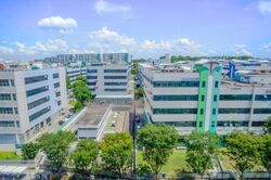 Blk 661 Jalan Damai (Bedok), HDB Executive #486696301